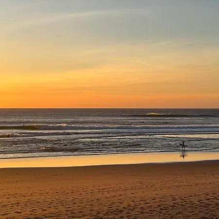 Golden Light Near Santo Antonio * 코스타 다 카파리카